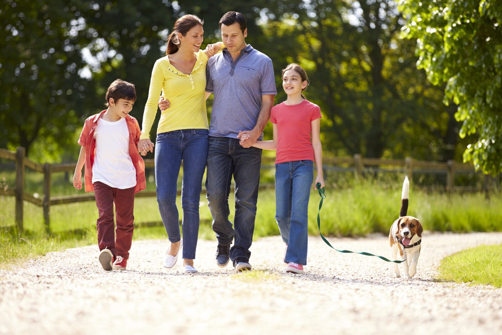 benefits of walking and exercising your dog