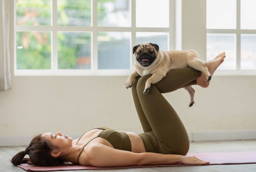 bonding with your pet through exercise