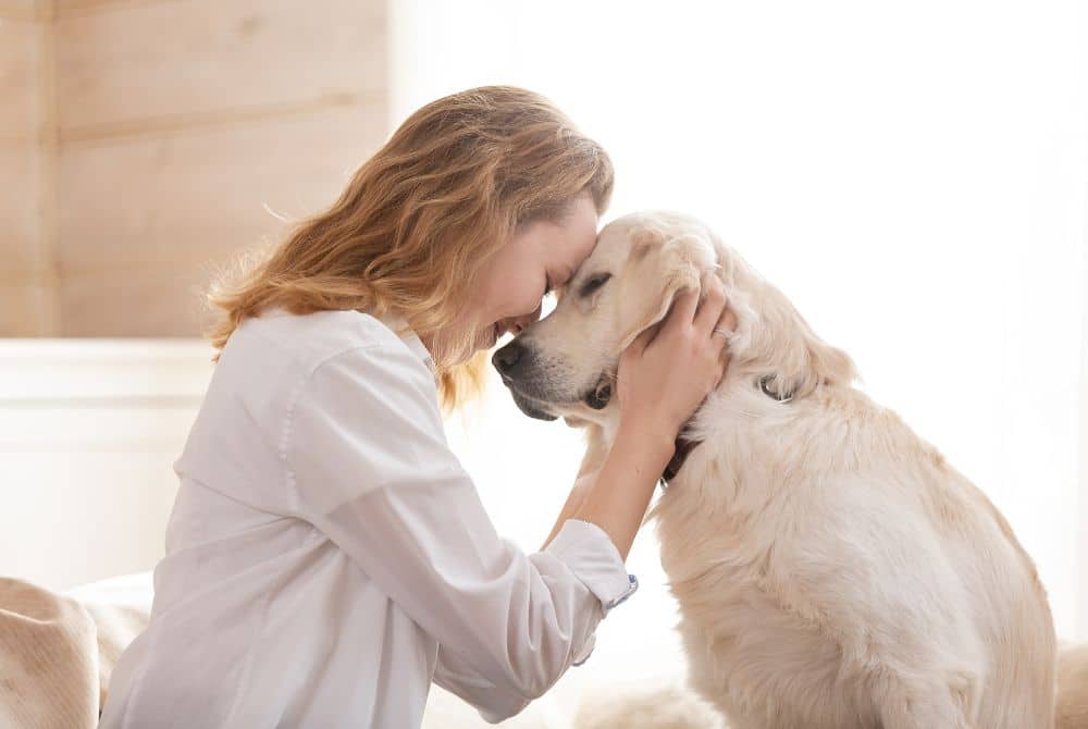 choosing the right pet sitter