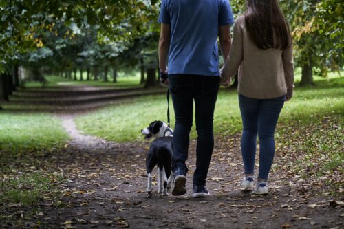 Walking Your Dog for Exercise