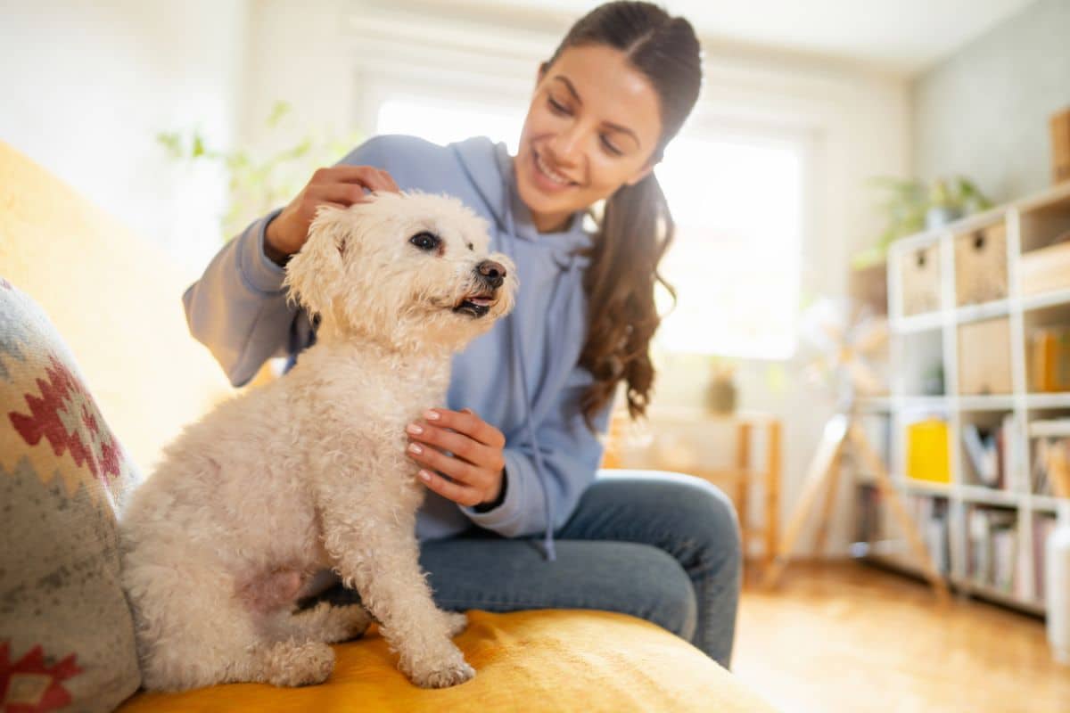 pet sitter monitoring dog during visit