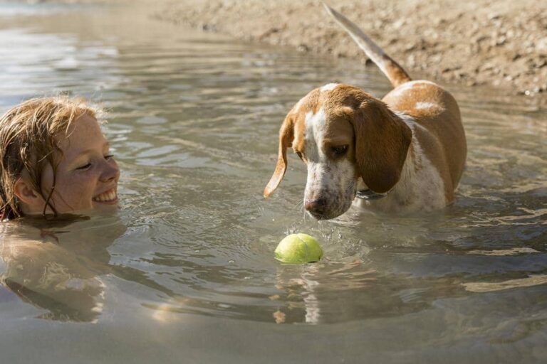 protecting mental health by playing with dog in the water
