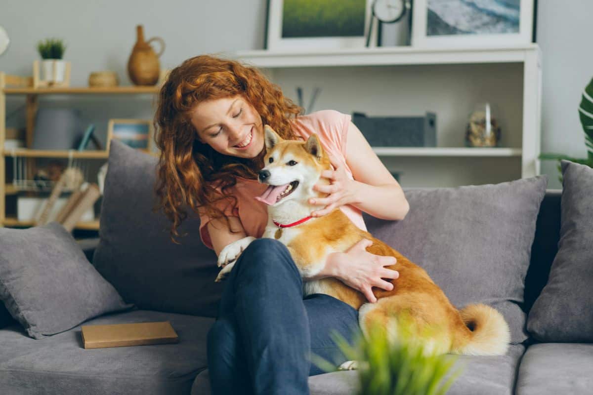 professional pet sitter checking on dog