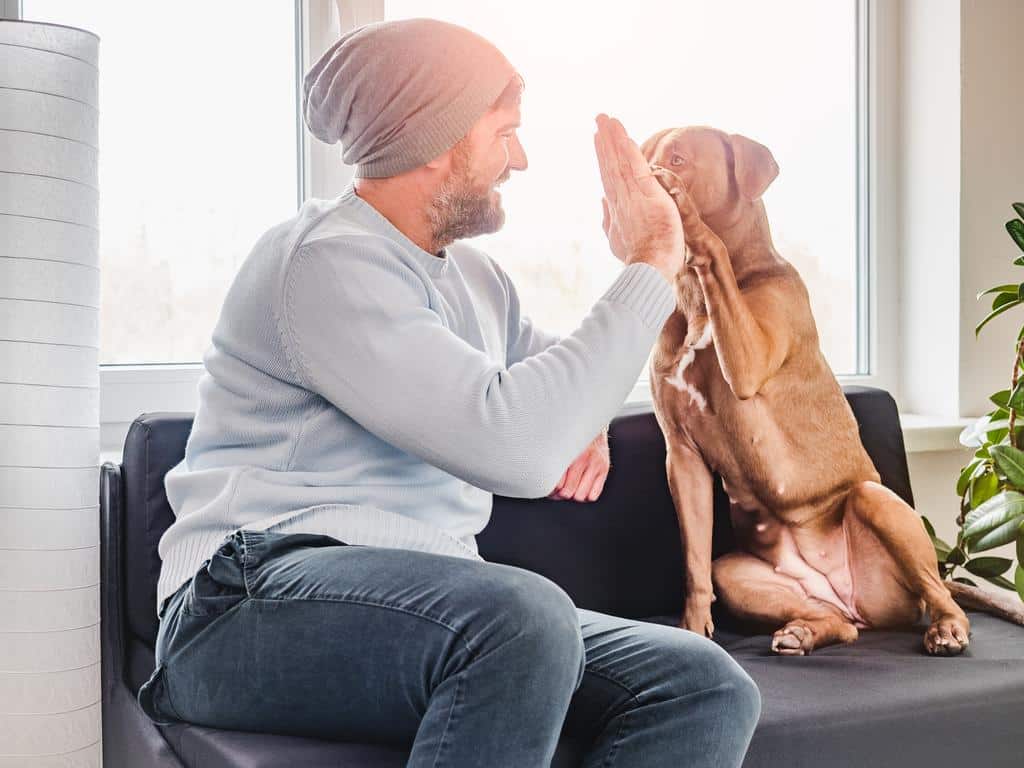 encouraging good behavior of your dog