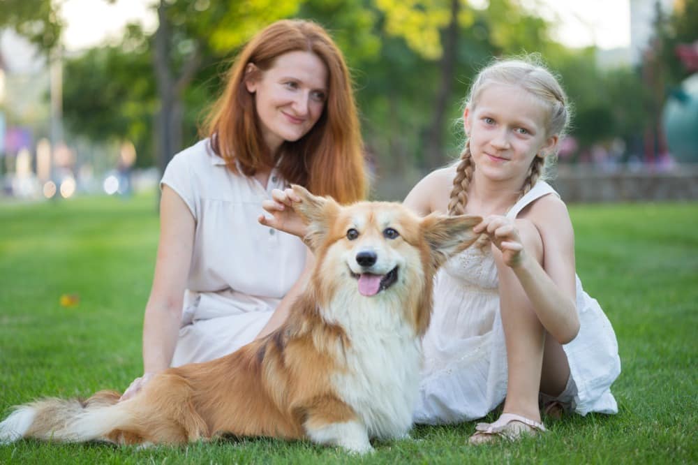 list of best family dogs