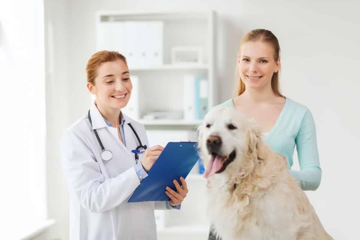 visit the vet if there are health concerns