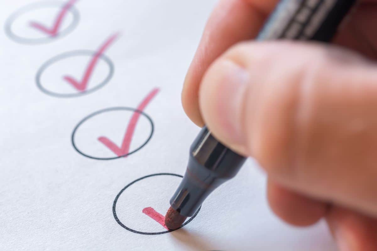 vacation pet sitting checklist
