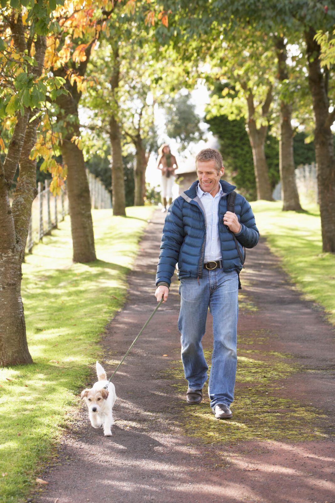 walking your dog for pet health