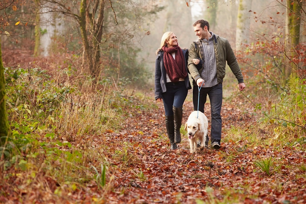 walking your dog in the fall